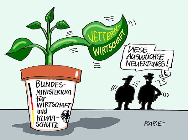 Dickblattgewaechs bei Habeck