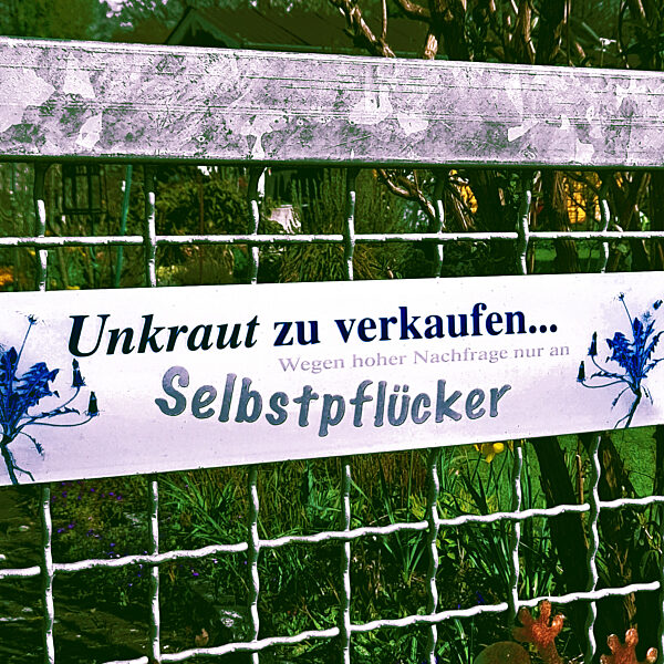 Unkraut zu verkaufen Gartenschild Selbstpfluecker