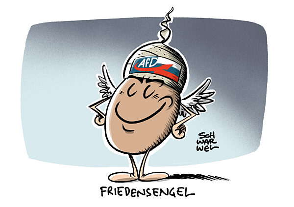 Verfassungsschutzpraesident Haldenwang : AfD teilt russische Narrative