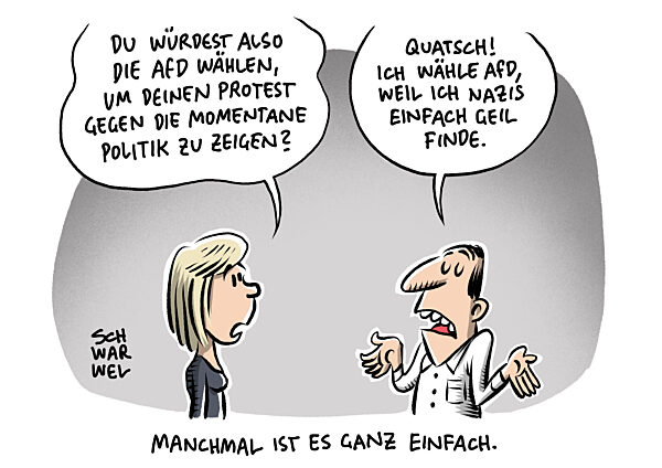 AfD auf Hoehenflug : Bester Umfragewert seit fuenf Jahren