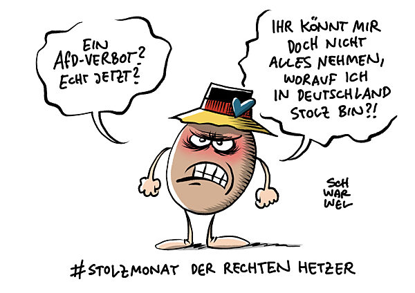 Deutsches Institut fuer Menschenrechte : Verbot der AfD moeglich