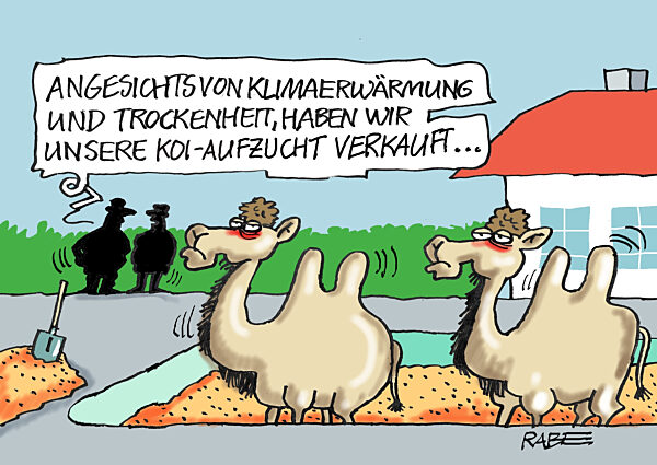 Fische auf dem Trockenen