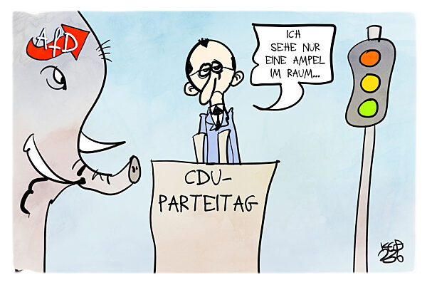 Themen auf dem kleinen CDU-Parteitag