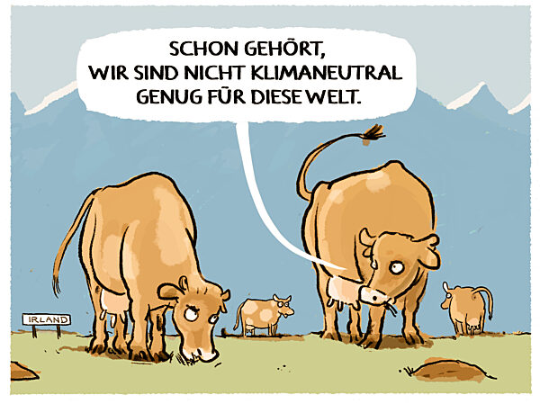 Irland will Kuehe keulen um Klimaziele zu erreichen