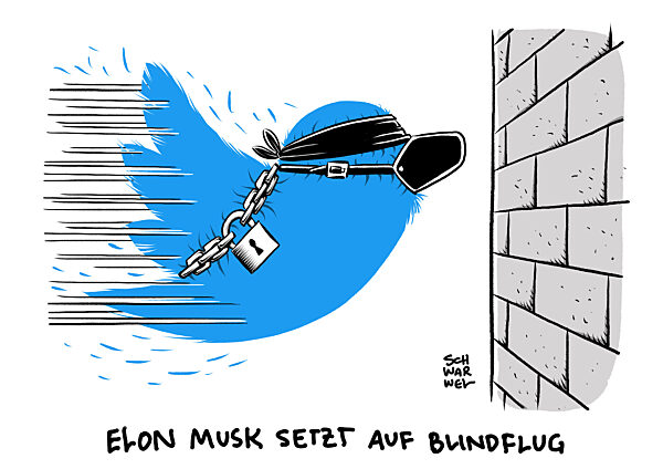 Twitter : Elon Musk schraenkt Zahl der lesbaren Tweets ein
