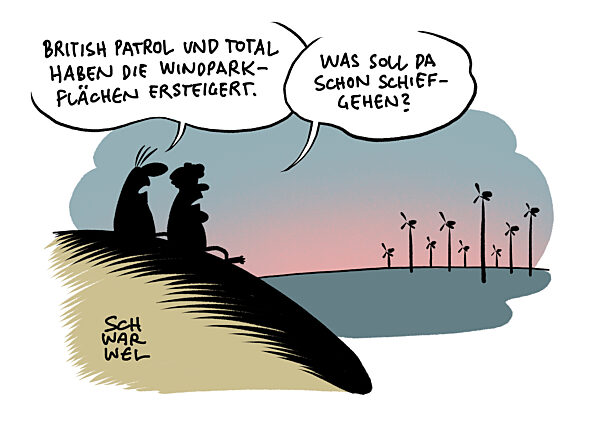 Offshore-Wind-Versteigerungen : Oelriesen BP und Total siegen