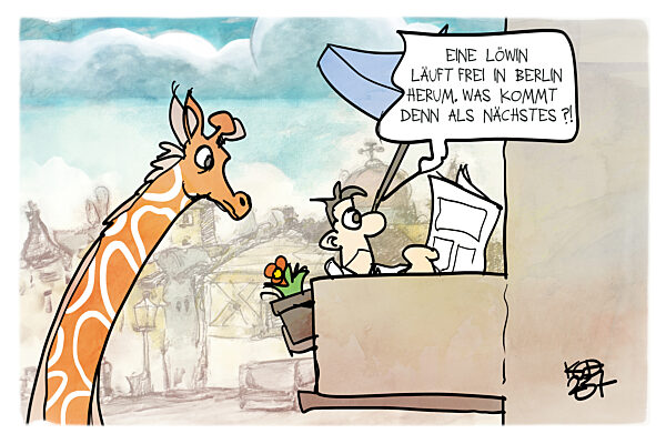 Entlaufende Loewin in Brandenburg