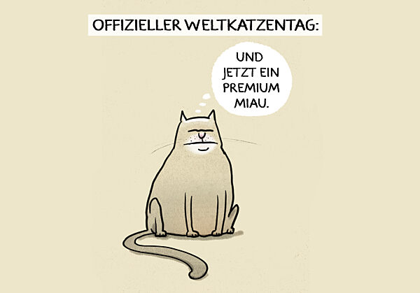 8.8.2023 internationaler Weltkatzentag