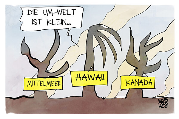 Die Um-Welt rueckt zusammen