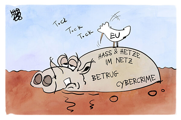 Die EU will das Internet sicherer machen