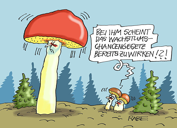 Wachstumschancengesetz