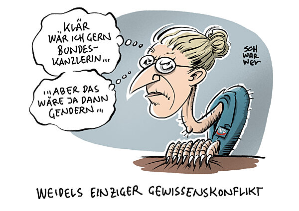 AfD will Kanzlerkandidaten aufstellen