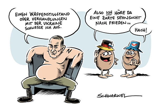 Krieg gegen Ukraine : Putin schliesst Waffenstillstand und Verhandlungen au