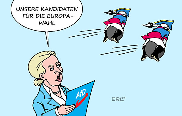 AfD Kandidaten Europawahl