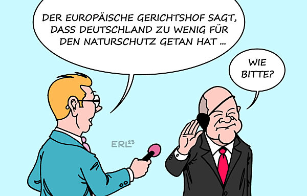 Schon wieder gestuerzt ?