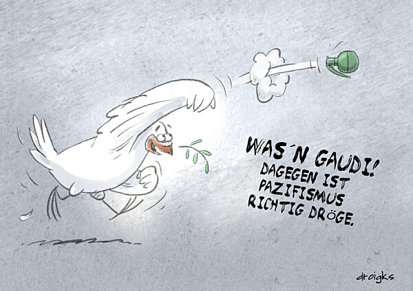 Friedenstaube auf Abwegen