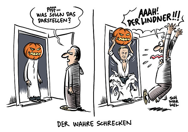 Christian Lindner zu Kuerzungsplaenen bei Migration