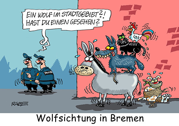 Wolf in Bremen