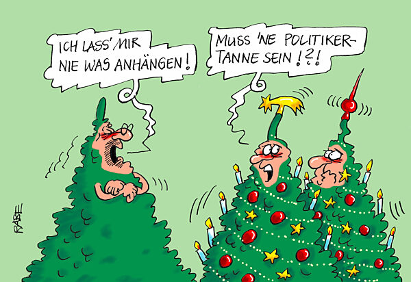 Politiker fein rauss