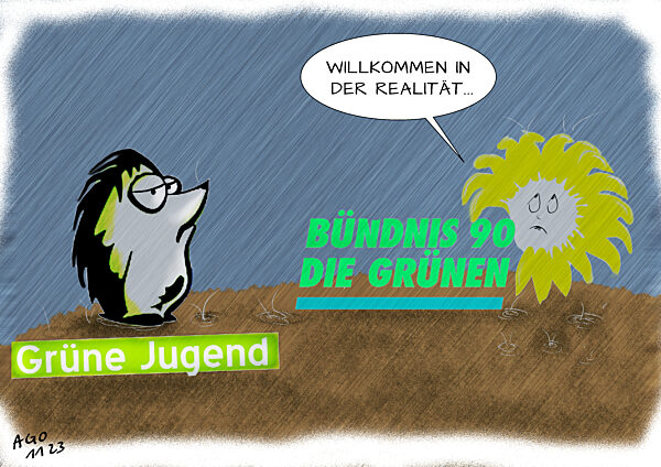 Bundesparteitag der Gruenen