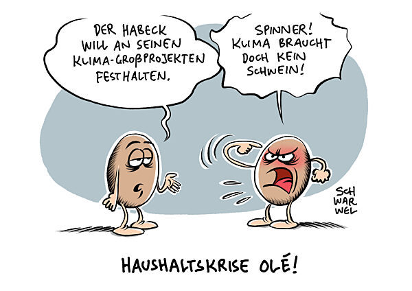 Regierung Haushaltskrise : Habeck will Klima-Grossprojekte weiter foerdern