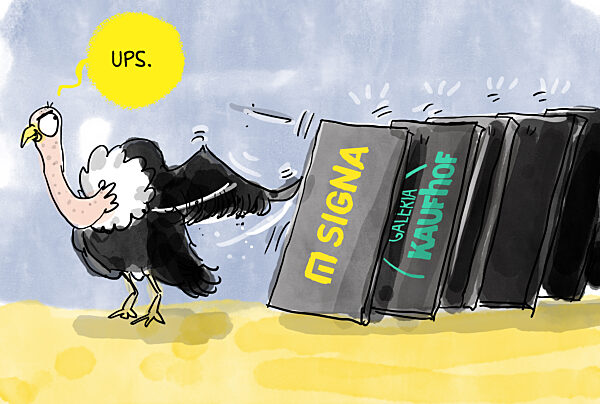 Signa Holding insolvenz