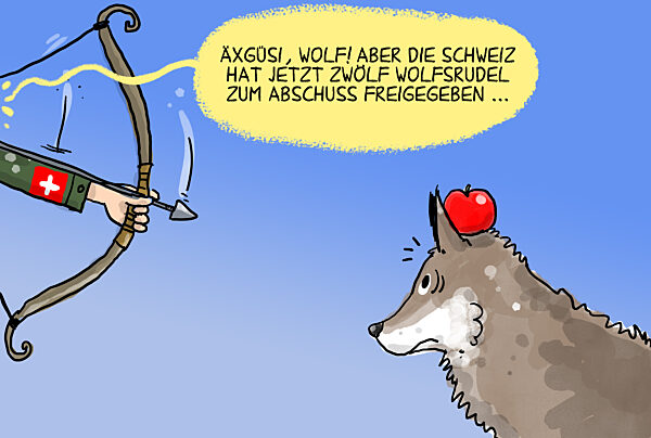 Schweiz gibt zwoelf Wolfsrudel zum Abschuss frei