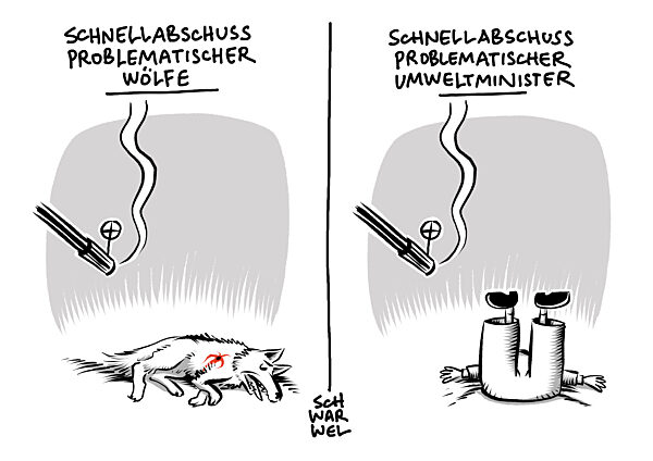 Schutz von Schafen und Ziegen : Schnellabschuss problematischer Woelfe