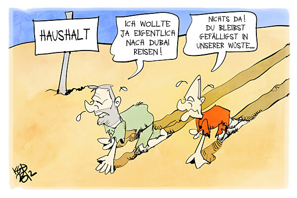 In der Haushaltswueste