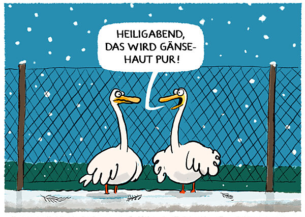 Zu Weihnachten Gans traditionell