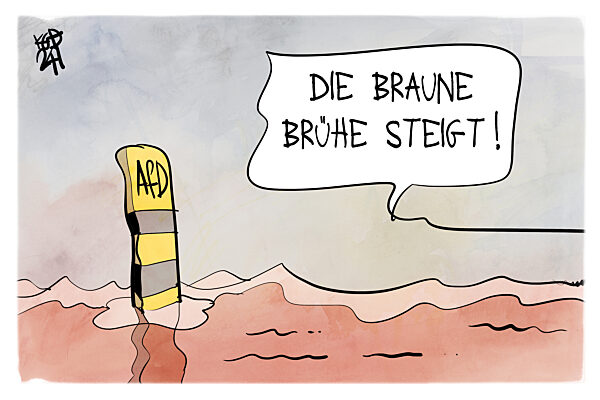 Die Umfragewerte fuer die AfD steigen