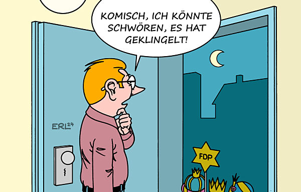 FDP Dreikoenigstreffen