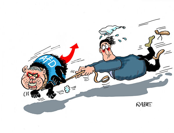 Umfragewerte mit Hund