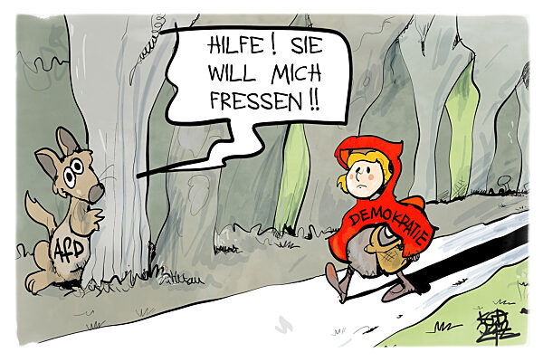 Die AfD gefaellt sich in der Opferrolle