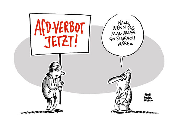 Debatte ueber AfD-Parteiverbot : Ex-Verfassungsrichter mahnt zur Vorsicht