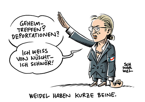 Verbindung der Afd enger als bekannt