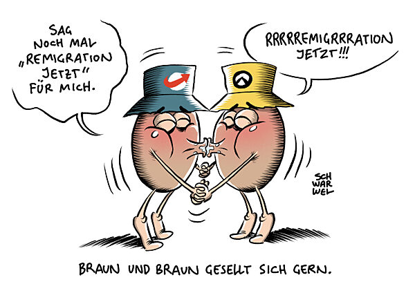 AfD und Rechtsextreme : Immer naehe immer offener