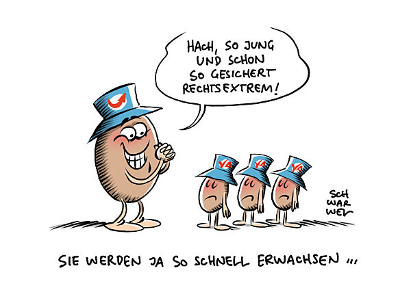 Verfassungsschutz Junge Alternative als gesichert rechtsextrem behandeln