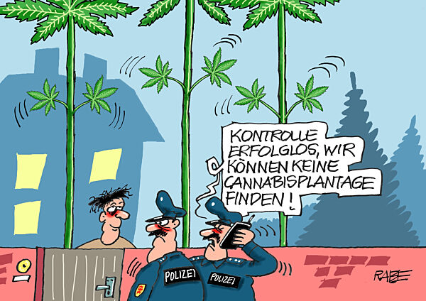 Cannabiskontrolleure