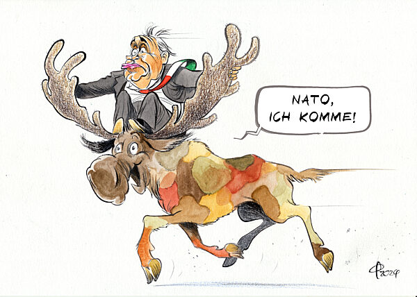 NATO-Zusage fuer Schweden