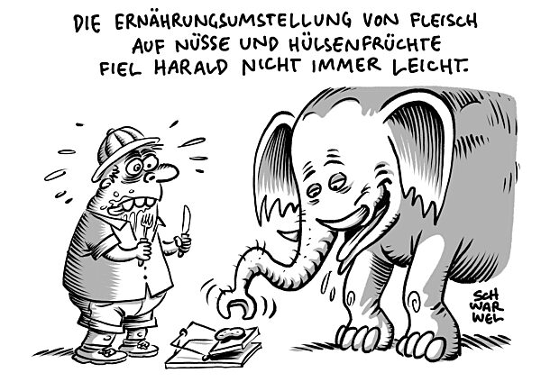 Mehr Nuesse weniger Fleisch besser fuer Gesundheit und Umwelt