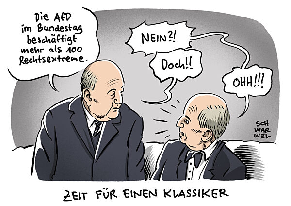 AfD im Bundestag beschaeftigt mehr als 100 Rechtsextreme