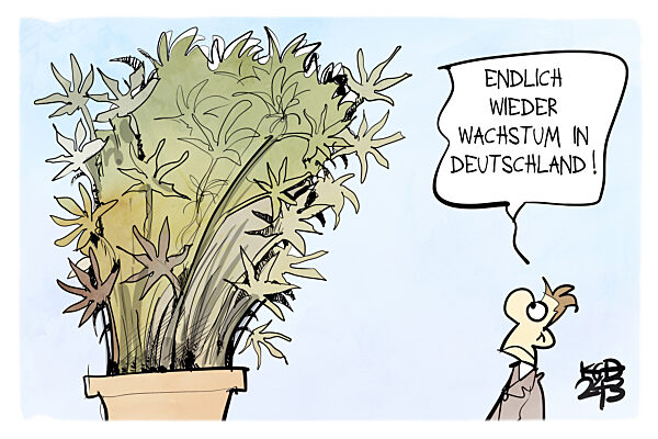 Der Bundesrat billigt das Cannabis- und das Wachstumschancengesetz