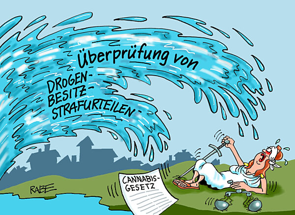 Ueberpruefungswelle
