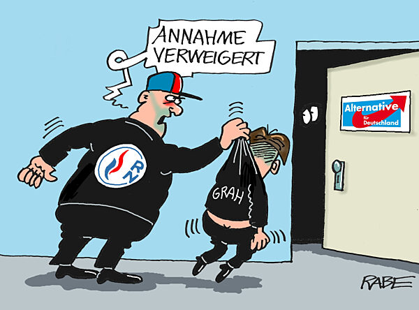 Afd und Krah