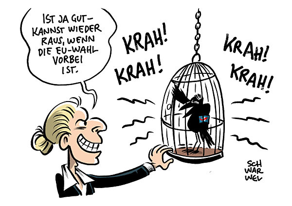 Auftrittsverbot fuer Krah