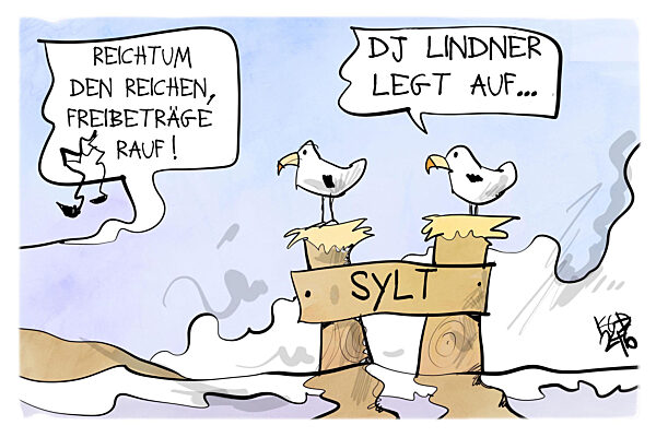 Lindner will weniger Steuern fuer Gutverdienende