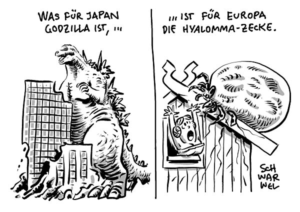 Riesenzecke Hyalomma verfolgt mit Augen aktiv potentielle Opfer