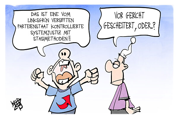 Die AfD unterliegt vor Gericht