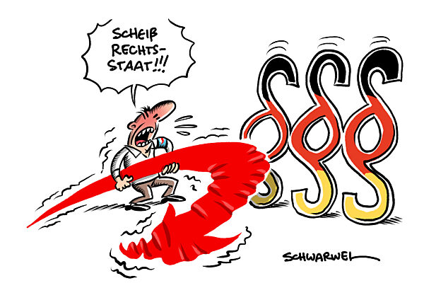 Streit um Ausschussvorsitze : AfD scheitert mit Klagen in Karlsruhe